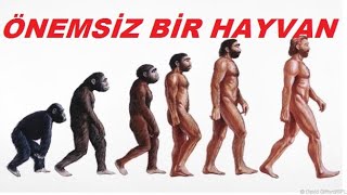 ÖNEMSİZ BİR HAYVAN SESLİ KİTAP [upl. by Imrots]