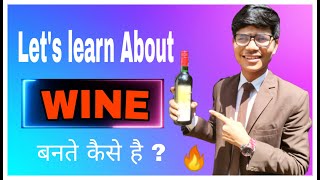 Basic Wine knowledge  Wine बनते कैसे है  Step by Step Details [upl. by Nnahoj990]