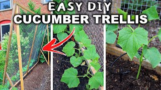 How to Build a Cool Cucumber Trellis Simple amp Inexpensive [upl. by Haroldson]