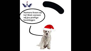 Kerstgroet 2023 [upl. by Waite]