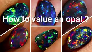 How To Value An Opal  Item Watch Features And Uses [upl. by Mcgraw]