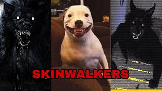 SKINWALKER COMPILATION‼️‼️ [upl. by Weigle634]