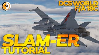 AGM84H Slamer Tutorial  DCS World [upl. by Anerroc]