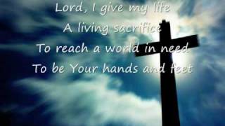 Life Song  Casting Crowns [upl. by Rialc]