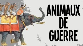 Les 5 animaux de guerre  Nota Bene 15 [upl. by Hinson]