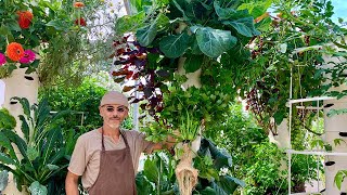 What grows well on a Tower Garden [upl. by Carlton961]