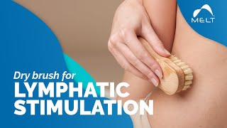 How to Dry Brush for Lymphatic Stimulation  MELT Method [upl. by Acsicnarf]