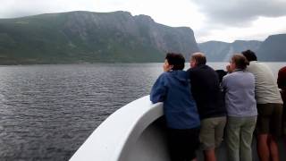 A Boat Tour to Remember Western Brook Pond  Newfoundland and Labrador Canada [upl. by Yvaht]