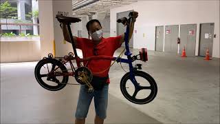 LIOW VIDEO Bought Foldable Bicycle At Cyclogic 选购折叠自行车 [upl. by Atse817]