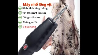 Máy loại bỏ lông nhỏ bằng điện Plucker cho vịt gà Máy nhổ lông vịt gà cầm tay [upl. by Ojimmas]