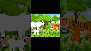 গরু ও বাঘের কার্টুন  popular cartoon video bangla  bangali best cartoon story  cartoon [upl. by Henryetta598]