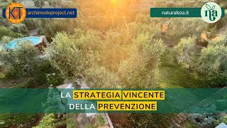 La strategia vincente della prevenzione [upl. by Patience]