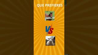 ¿Águila o Halcón 🦅 ¡Descubre quién gana animales [upl. by Primrose670]