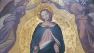 Regina Coeli laetare alleluia [upl. by Aileon564]