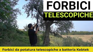 Forbici da potatura telescopiche KEBTEK KT940 RECENSIONE COMPLETA  COUPON [upl. by Nnyleimaj]