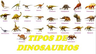 TIPOS DE DINOSAURIOS [upl. by Sseb]