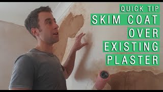 QUICK TIP  Skim Coat over Existing Plaster use PVA first [upl. by Anaibaf797]