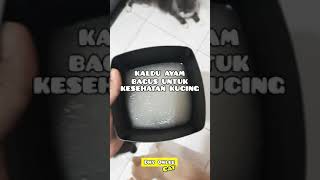 KALDU AYAM UNTUK KUCING  BAGUS UNTUK KUCING FLU SHORT VIDEO [upl. by Oshinski]