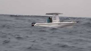 Boston Whaler 210 Outrage [upl. by Burnett]