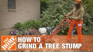 How To Grind A Tree Stump  The Home Depot [upl. by Ihcego]