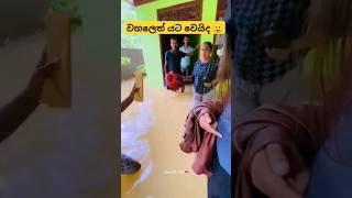 කිඹුලෙක් එහෙම ඉදිද බලන්නකෝ 🙂😂 viral tiktok trending dance srilanka shorts [upl. by Howlond]