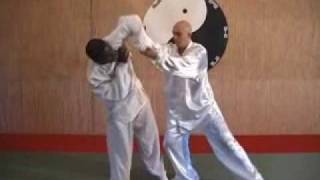 Taiji quan yang style 108 application [upl. by Pinsky]