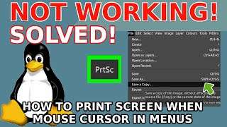 Print screen not working when accessing drop down menus in linux Solution Capture Screen Shot [upl. by Aysa]