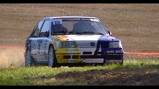 Rallye du Suran 2019 Mistakes Limites [upl. by Gula]