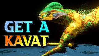 How To Get A Kavat In WARFRAME  Kavat Genetic Code Farm 2024 Guide tennocreate [upl. by Akire]