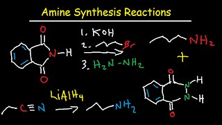 Amine Synthesis Reactions Organic Chemistry  Summary amp Practice Problems [upl. by Mines]