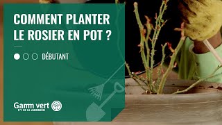 TUTO Comment planter le rosier en pot   Jardinerie Gamm vert [upl. by Herring]