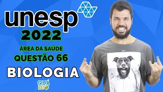 UNESP 2022  Questão 66  A disposição e a distribuição dos estômatos nas folhas são adaptações das [upl. by Patton]