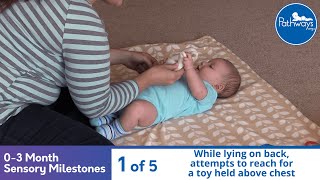 03 Month Old Sensory Milestones [upl. by Nylhtac575]