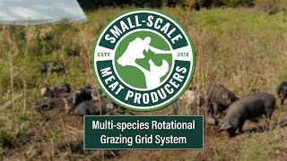 Multispecies Rotational Grazing Grid System [upl. by Enelehs]