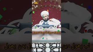 Poetry by Peer Saqib Shami MMNaatLyrics PeerSaqibshorts [upl. by Yttig]