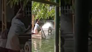 mangomeadowsagriculturalthemeparkboatingtrendingshortfeedviralsubscribeyoutubeshortkottayam [upl. by Enetsuj]