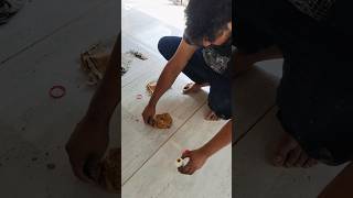 tiles epoxy flooring design shortsfeed viralvideo floortilesdesign ytshorts trendingvideo [upl. by Gregory513]