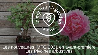 En avantpremière le 17 février nos Pivoines arbustives sont presque prêtes [upl. by Ahsilem921]