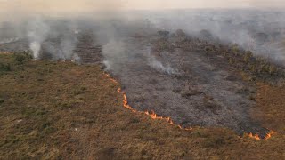 Incêndios devastam áreas úmidas do Pantanal brasileiro  AFP [upl. by Fatsug]