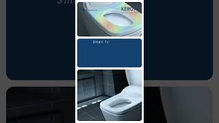 Kerovit Smartwash Toilet  WinterEssentials [upl. by Leoj]