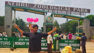 Hyderabad ka saab se bada zoo park 🐘🐼🐯  nehru zoological park  vlogs vlog [upl. by Anyak]