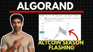 ALGORAND Massive Altcoin Season Update  Algorand Price Prediction [upl. by Leinadnhoj]