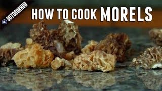 How To Clean And Cook Morel Mushrooms [upl. by Penthea]