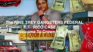 The NineTrey Gangsters BLOOD Gang RICO Case Allegedly Since 1994“Bugout Boyz”crownheightsmafia [upl. by Parsons654]