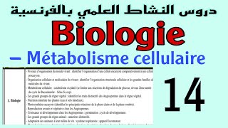 Métabolisme cellulaire catabolisme oxydatif [upl. by Otsirave178]