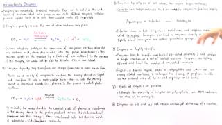 Properties of Enzymes [upl. by Hafirahs]