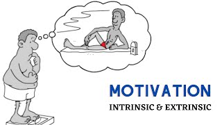 Theory of Motivation  Intrinsic vs Extrinsic motivation [upl. by Voccola178]