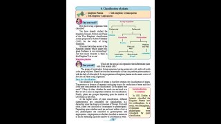 Lesson No6 Classification of plants Std9 General Science [upl. by Viv]