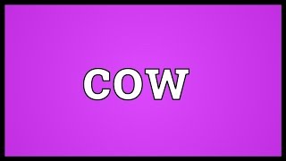 Cow Meaning [upl. by Iggem]