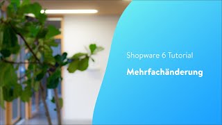 Mehrfachänderung Shopware 6 Tutorial [upl. by Rowena]